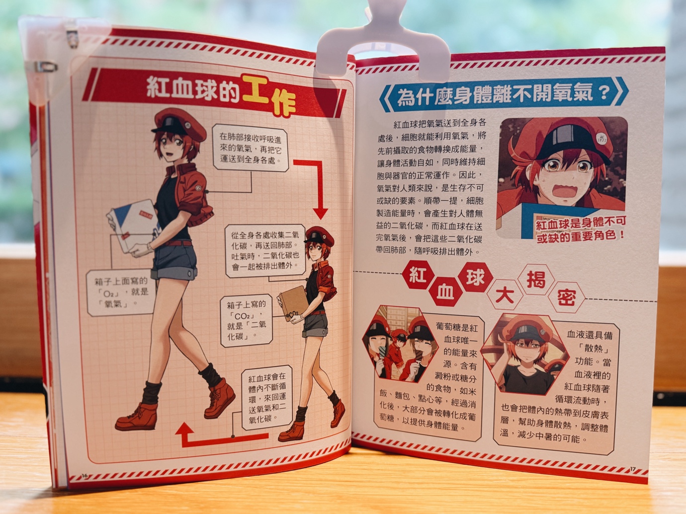 圖片