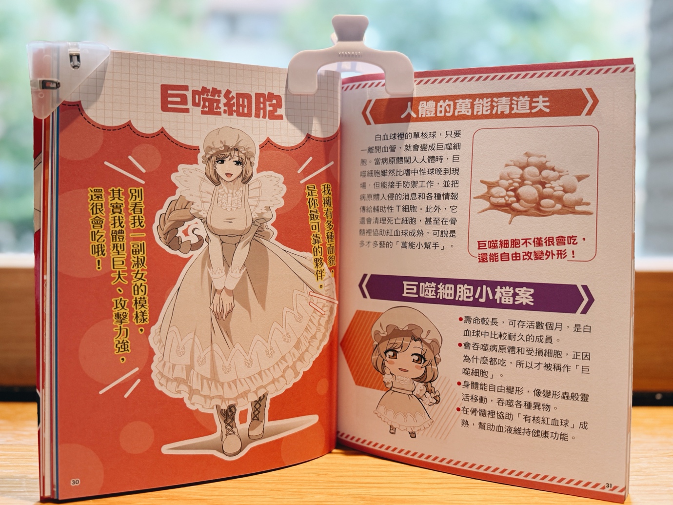圖片