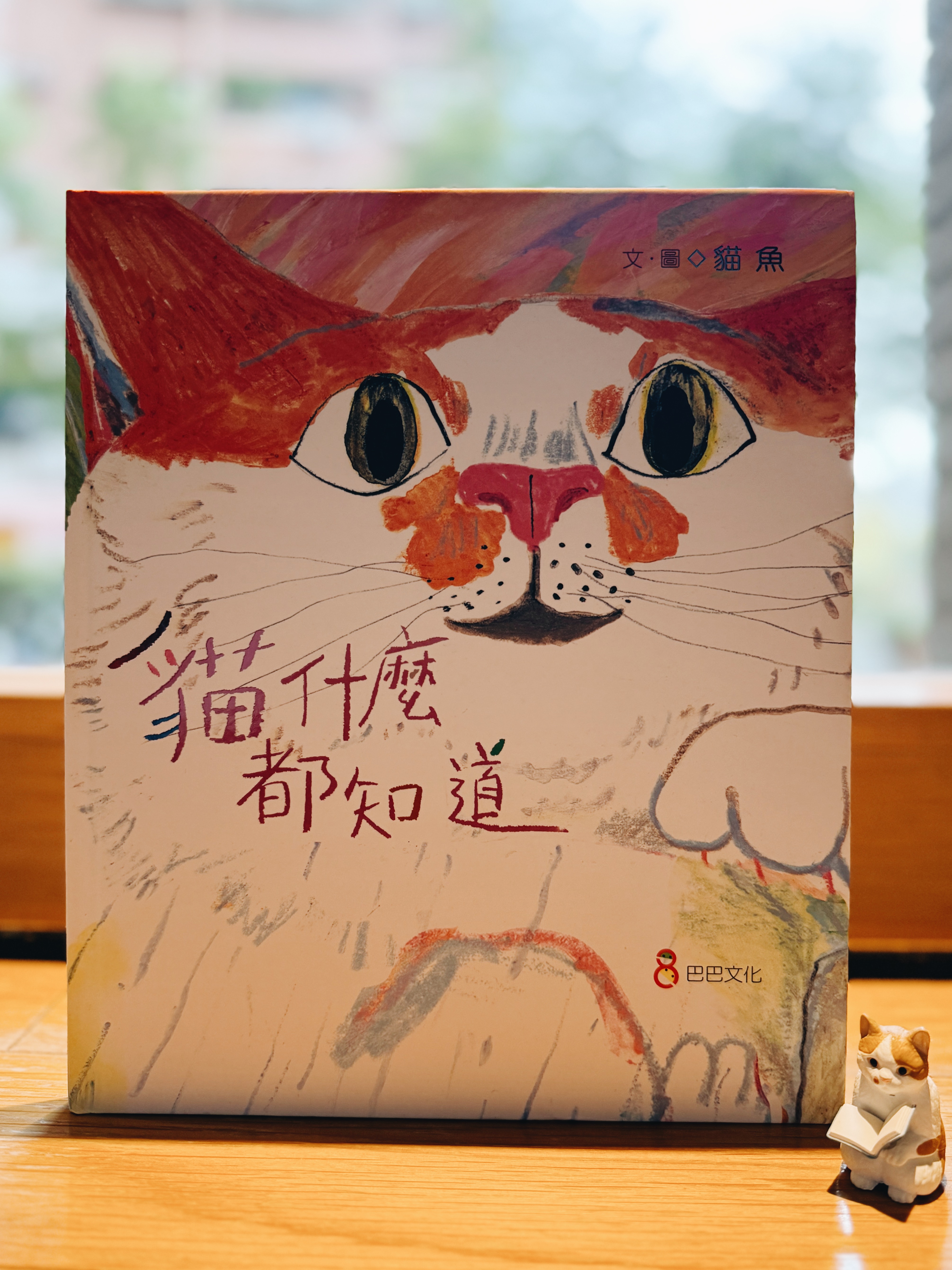 《貓什麼都知道》｜那些人類遺忘的事